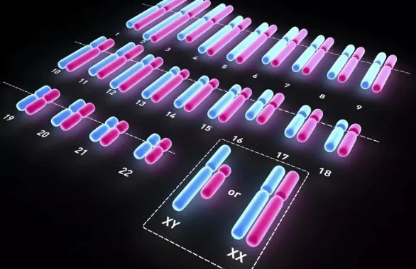 تست کاریوتایپ