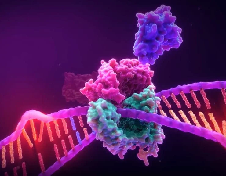 تست MSI و MMR در سرطان‌ها