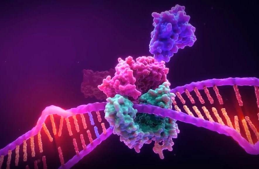 تست MSI و MMR در سرطان‌ها